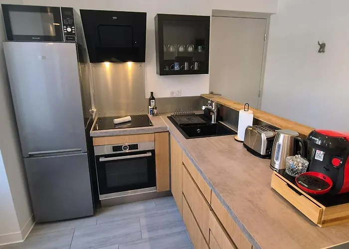 Escapade Moderne Avec Terrasse Privee Appartement Pau